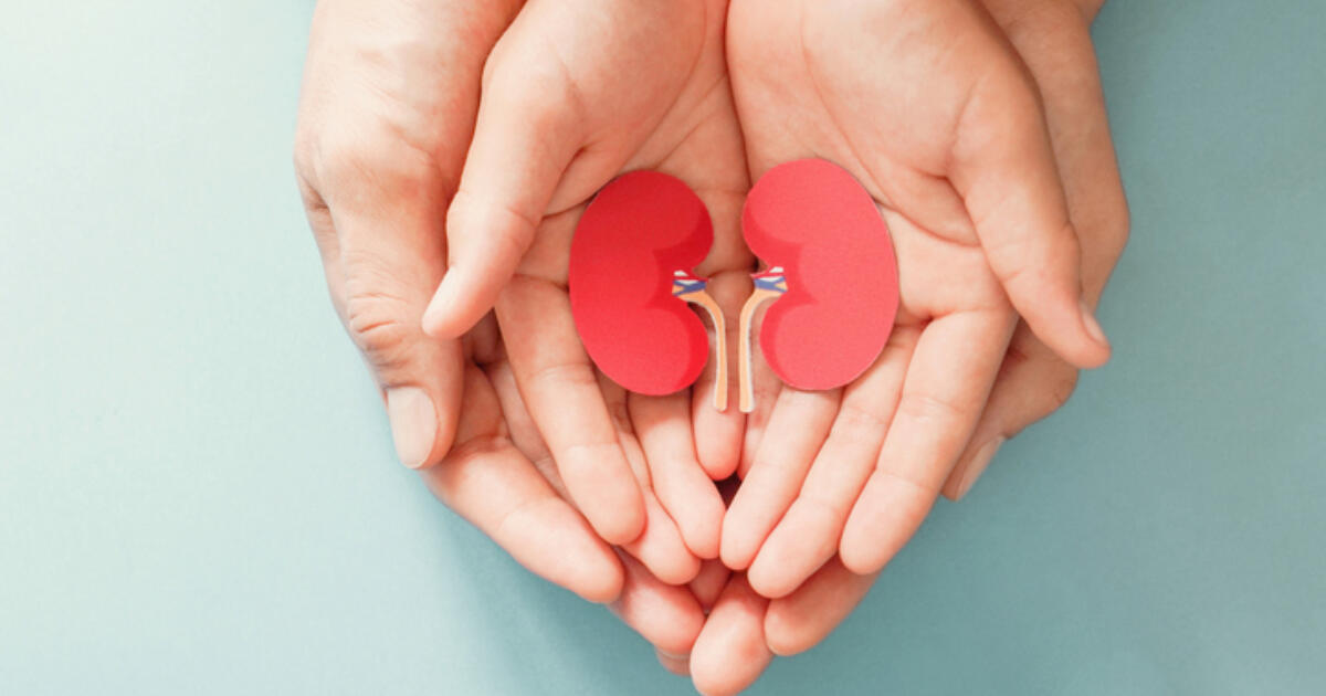 Donating a Kidney: A Life-Changing Experience in Michigan