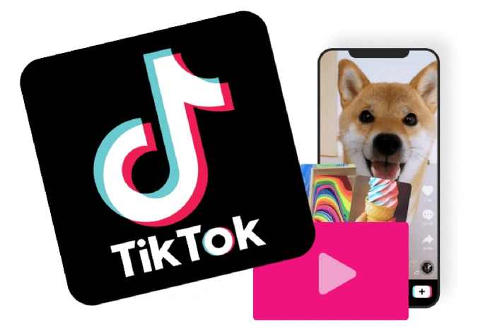 free tiktok downloader 